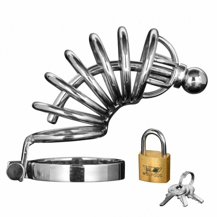 Asylum 6 Ring Locking Chastity Cage  |  Cock Cages