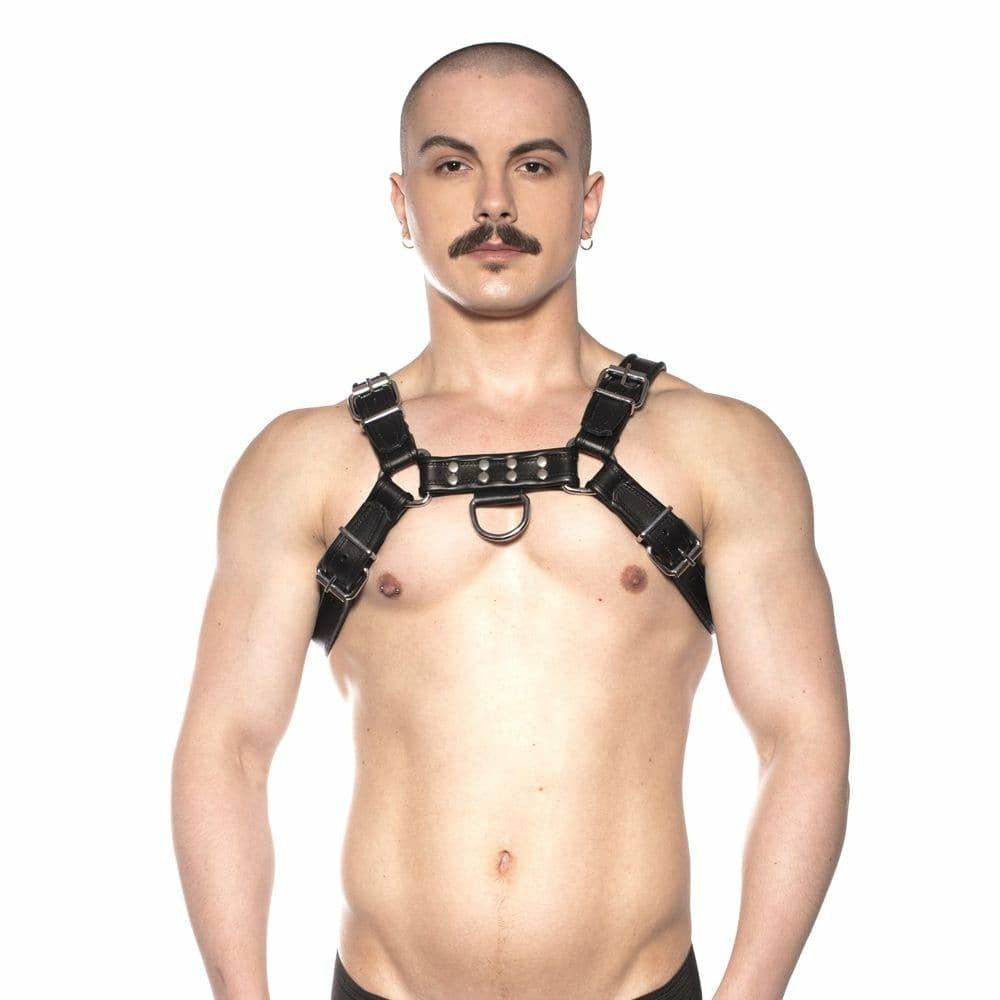 Bull Harness Black Large  |  Sexy Menswear