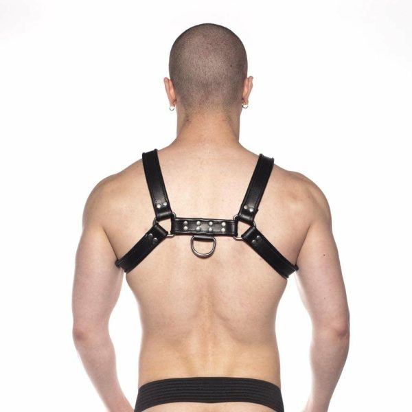 Bull Harness Black Large  |  Sexy Menswear