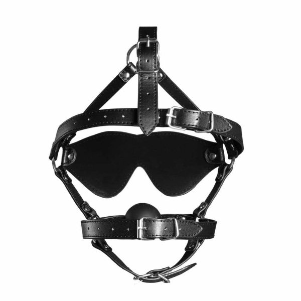 Ouch Xtreme Blindfolded Harness With Solid Ball Gag  |  Mouth Gags