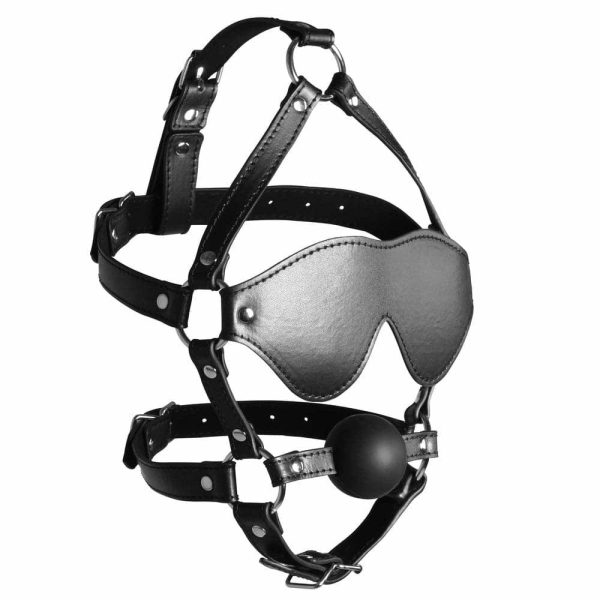 Ouch Xtreme Blindfolded Harness With Solid Ball Gag  |  Mouth Gags