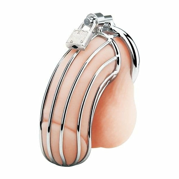 Prisoner Cock Cage Silver  |  Chastity & Padlocks