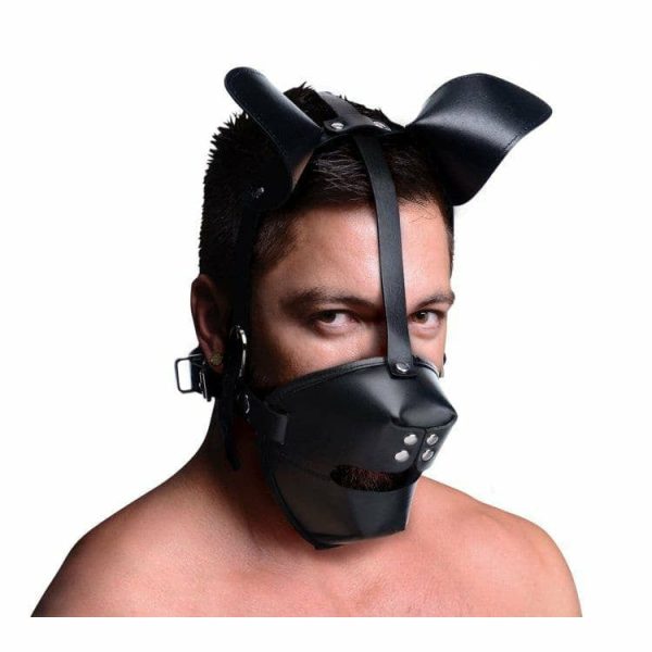 Pup Play Hood With Ball Gag  |  Hoods And Headgear